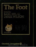 The Foot VOLUME 2 PDF电子版封面 0443029814