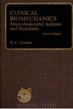 Clinical Biomechanics Musculoskeletal Actions and Reactions PDF电子版封面