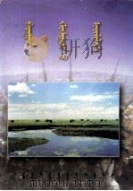巴隆族志 蒙文 1998 PDF电子版封面 7538005870 《巴隆族志》编委会,才仁东德布