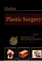 MATHES PLASTIC SURGERY VOLUME5 PDF电子版封面 9780721688169