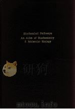 BIOCHEMIOAL PATHWAYS AN ATLAS OF BIOCHEMISTRY & MOLECULAR BIOLOGY（ PDF版）