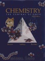 CHEMISTRY THE CENTRAL SCIENCE PDF电子版封面 0130669970