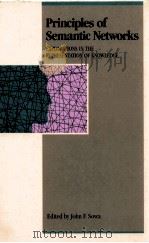 PRINCIPLES OF SEMANTIC NETWORKS（ PDF版）