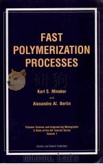 FAST POLYMERIZATION PROCESSES（ PDF版）