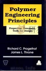 POLYMER ENGINEERING PRINCIPLES PDF电子版封面 1569901511