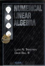 NUMERICAL LINEAR ALGEBRA PDF电子版封面 0898714877