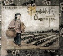 FORMOSA OOLONG TEA 1904 PDF电子版封面