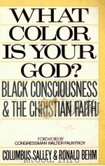 WHAT COLOR IS YOUR GOD? PDF电子版封面 0806511117