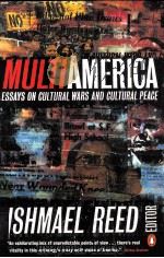 MULAMERICA PDF电子版封面
