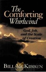 MCKIBBEN THE COMFORTING WHIRHUING PDF电子版封面