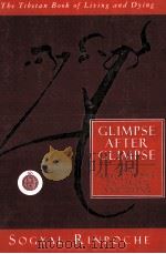 GLIMPSE AFTER GLIMPSE PDF电子版封面 0062511262