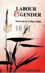 LABOUR AND GENDER PDF电子版封面