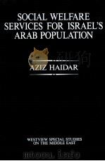 SOCIAL WELFARE SERBICES FOR ISRAELS ARAB POPULATION PDF电子版封面 0813377609