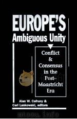 EUROPER AMBIGUOUS UNITY PDF电子版封面 ALAN W CAFRUNY