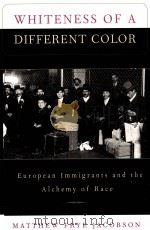 WHITENESS OF A DIFFERENT COLOR（ PDF版）