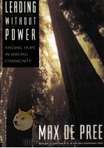 LEADING WITH DUT POWER PDF电子版封面