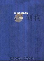 END USER COMPUTING PANKO PDF电子版封面
