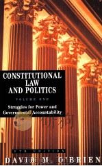 CONSTITUTIONAL LAW AND POLITICS PDF电子版封面 039397748X