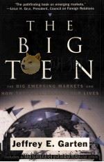 THE BIG IEN PDF电子版封面 0465006868 JEFFREY E GARTEN