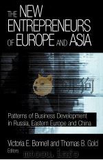 THE NEW ENTREPRENEURS OF EUROPE AND ASIA PDF电子版封面 076560776X M.E.SHARPE