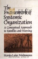 THE FRAMEWORK OF SYS TEMIC ORGANIZATION PDF电子版封面 0803949138
