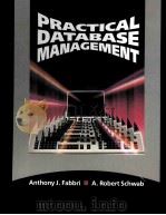 PRACTICAL DATABASE MANAGEMENT（ PDF版）