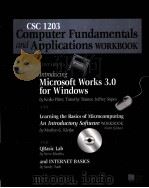 CSC 1203 COMPUTER FUNDAMENTALS AND APPLICATIONS WORKBOOK PDF电子版封面 0070502684