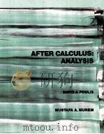 AFTER CALCULUS ANALYSIS PDF电子版封面 0023391308 DAVID J.FOULIS