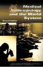 MEDICAL ANTHROPOLOGY AND THE WORLD SYSTEM PDF电子版封面 089789846X HANS A.BAER