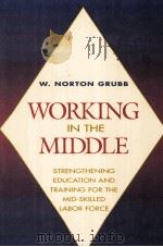 WORKING IN THE MIDDLE（ PDF版）