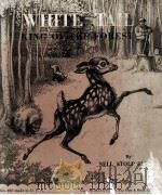 WHITE TAIL KING OF THE FOREST（ PDF版）