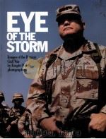 EYE OF STORM PDF电子版封面