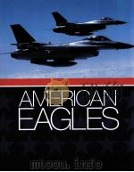 AMERICAN EAGLES PDF电子版封面 0785811907
