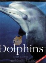 DOLPHINS CHRIS CATTON（ PDF版）