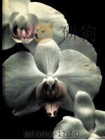 ORCHIDS（ PDF版）