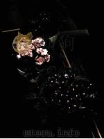 FLOWERING HOUSE PLANTS PDF电子版封面