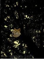 TREES PDF电子版封面