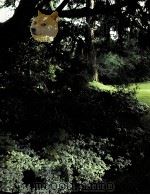 Shade Gardens THE TIME-LIFE ENCYCLOPEDIA OF GARDENING PDF电子版封面