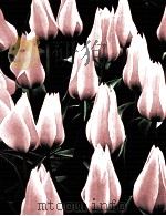 Bulbs  THE TIME-LIFE ENCYCLOPEDIA OF GARDENING（ PDF版）