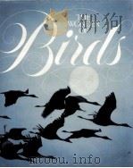 THE WONDER OF BIRDS（ PDF版）