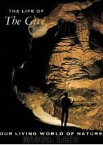 THE LIFE OF TBE CAVE（ PDF版）