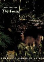 THE LIFE OF TBE FOREST（ PDF版）