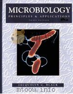 MICROBIOLOGY PRINCIPLES & APPLICATIONS THIRD EDITION PDF电子版封面 013190745x