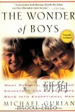 THE WONDER of BOYS Nationally Acclaimed PDF电子版封面 0874778875