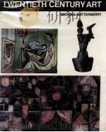 TWENTIETH CENTURY ART MICHAEL BATTERBERRY PDF电子版封面