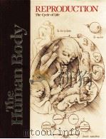 REPRODUCTION The Cycle of Life（ PDF版）