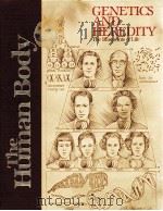 GENETICS AND HEREDITY The Blueprints of Life PDF电子版封面 0920269656