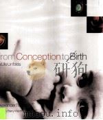 From Conception to Birth a Life Unfolds PDF电子版封面 0385503180