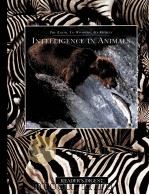INTELLIGENCE IN ANIMALS（ PDF版）