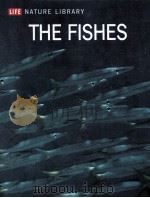 THE FISHES LIFE NATURE LIBRARY PDF电子版封面